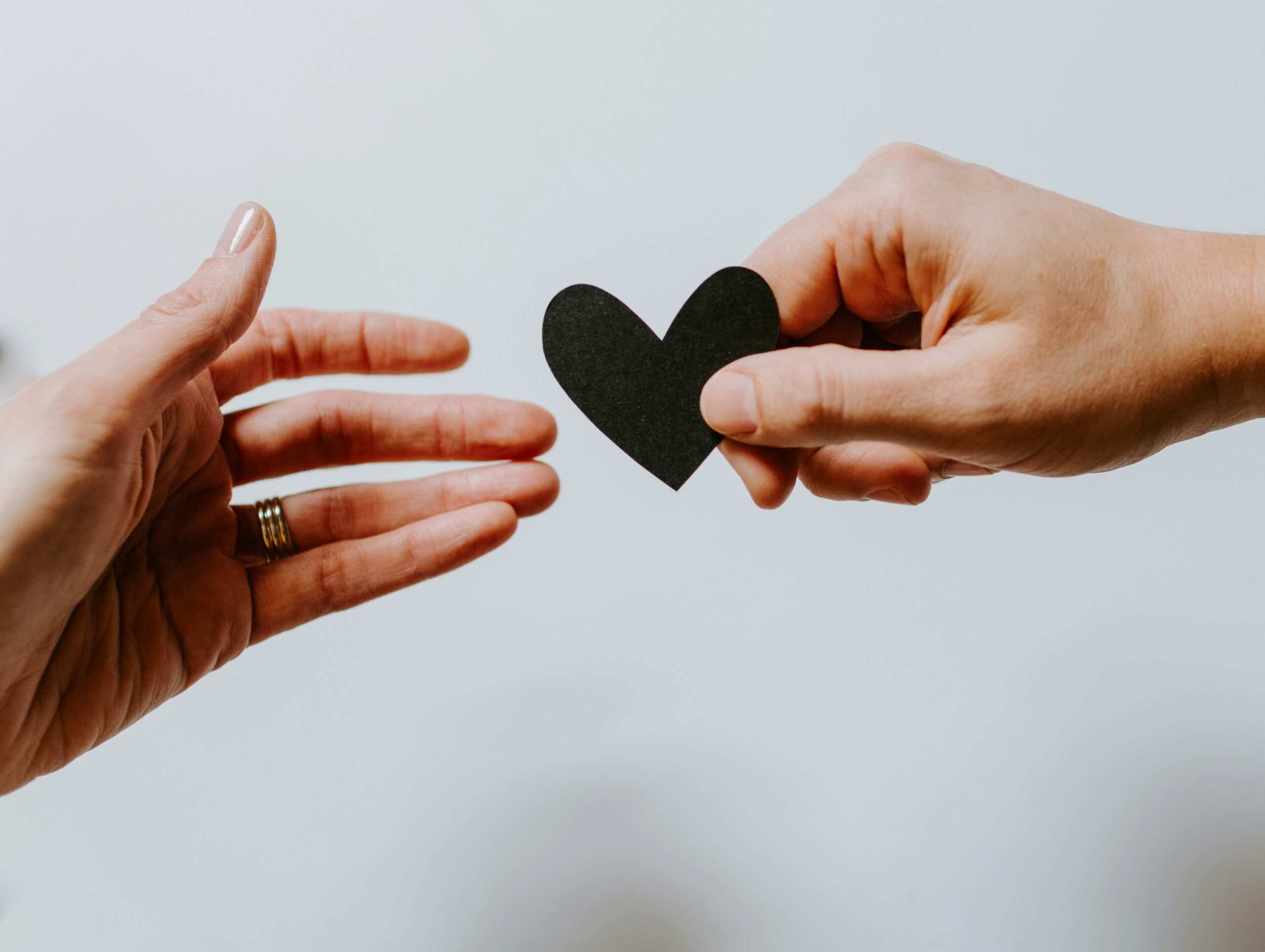 Donec pellentesque mauris quis ante placerat, at laoreet mi rhoncus