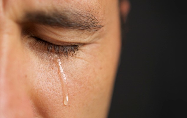 Nullam ornare, sapien quis cursus luctus